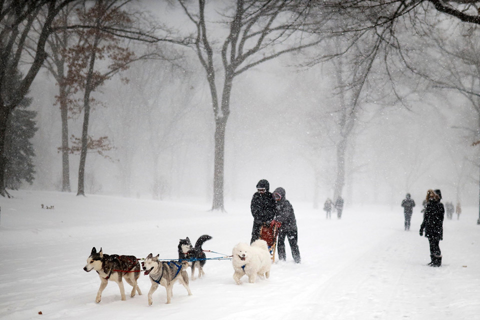 Người New York trong mùa đông lạnh giá kỷ lục